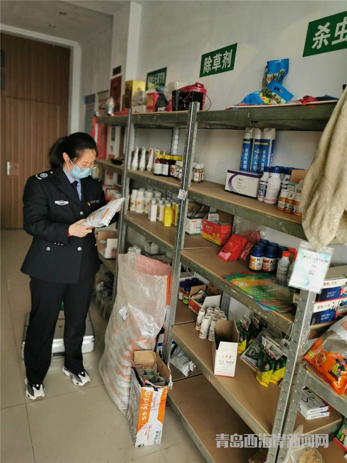 圖為西海岸新區(qū)農(nóng)業(yè)綜合行政執(zhí)法大隊執(zhí)法隊員在查看玉米種子包裝。.jpg