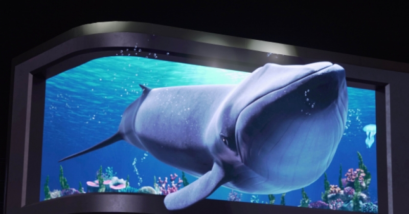 在金沙灘啤酒城，那些讓你眼前一亮的驚喜