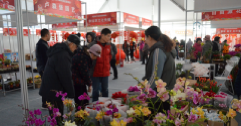 太火爆！金沙灘啤酒城春節(jié)國際商品展銷會延期三天